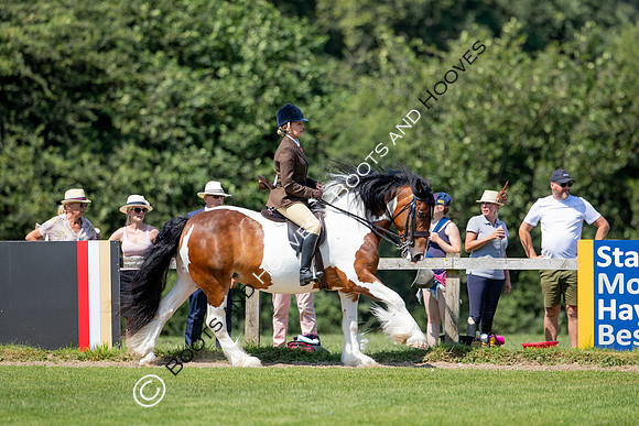 The Prenetics Royal International Horse Show