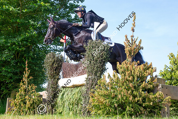 Bicton International Horse Trials supported by Chedington