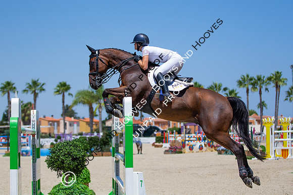 FEI Junior European Championship Young Riders, Juniors & Childre