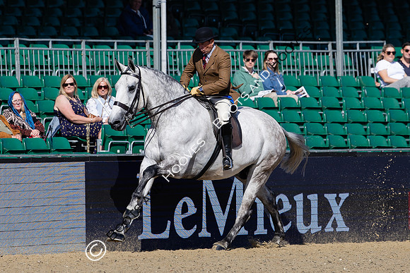 Royal Windsor Horse Show