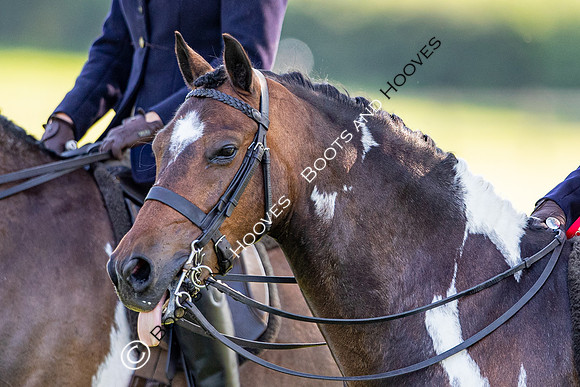 The Prenetics Royal International Horse Show
