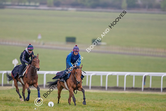 Newmarket Gallops