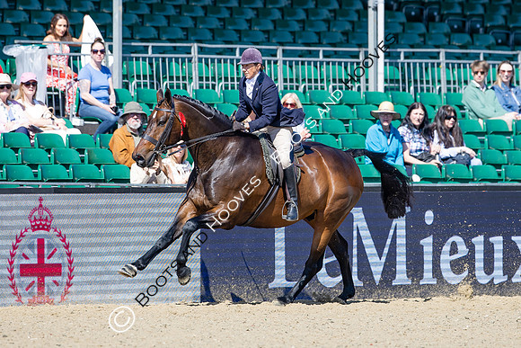 Royal Windsor Horse Show