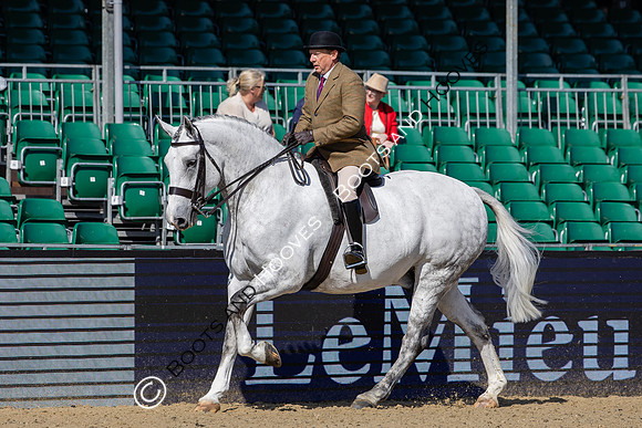 Royal Windsor Horse Show