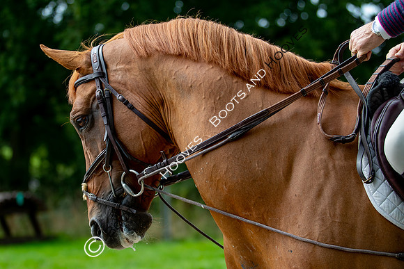 Science Supplements All England Jumping Championships