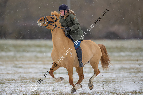 Snow Day