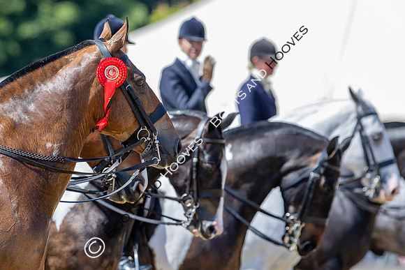 Royal Windsor Horse Show