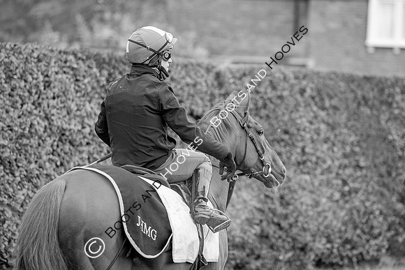 Newmarket