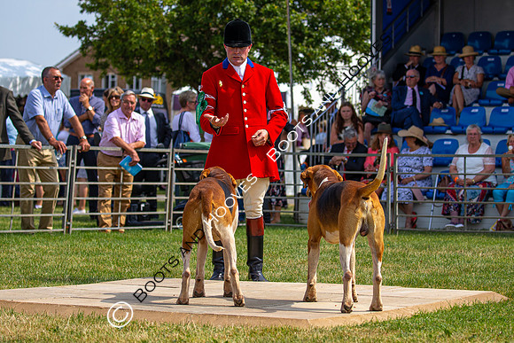 Festival of Hunting