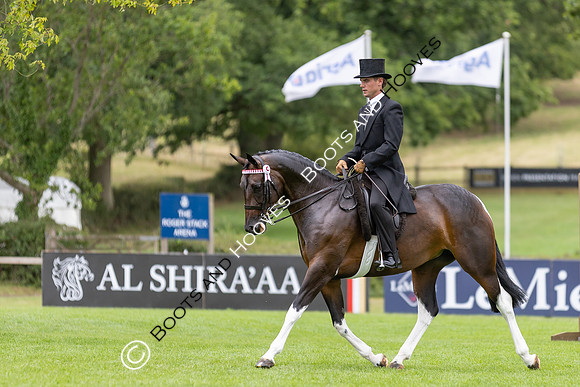 The Royal International Horse Show