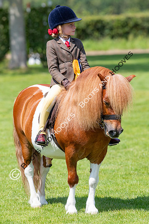 The Prenetics Royal International Horse Show