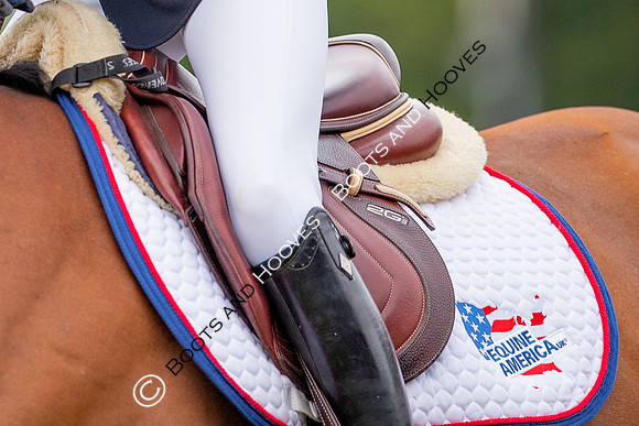 Science Supplements All England Jumping Championships