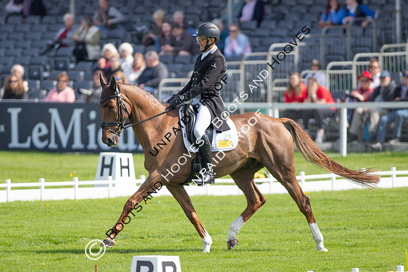 Badminton Horse Trials