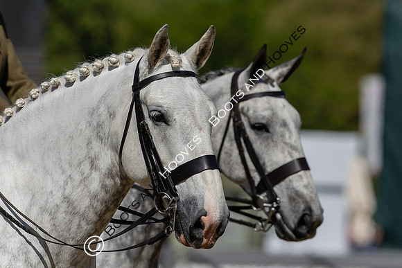 Royal Windsor Horse Show