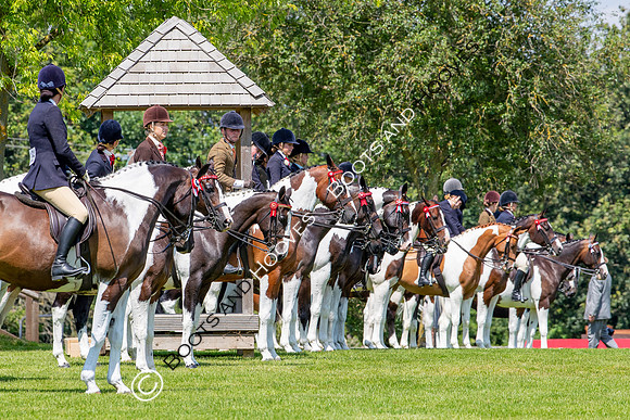 The Prenetics Royal International Horse Show