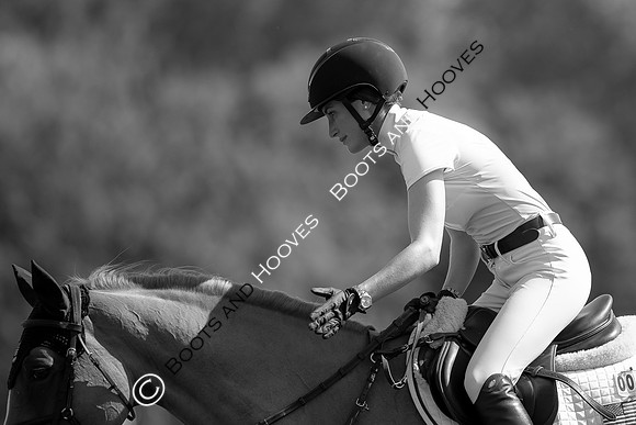 Hickstead