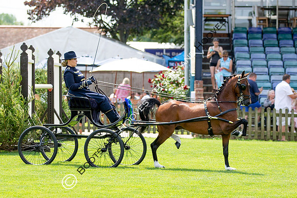 The Prenetics Royal International Horse Show