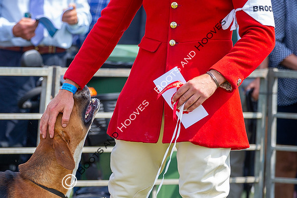 Festival of Hunting
