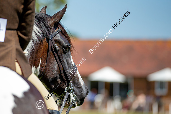 The Prenetics Royal International Horse Show