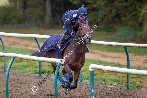 Newmarket