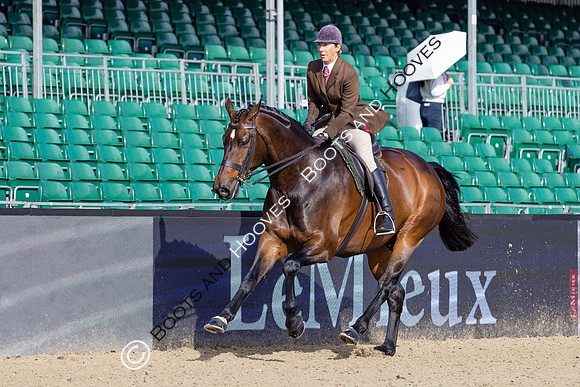 Royal Windsor Horse Show