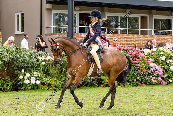 The Agria Royal International Horse Show