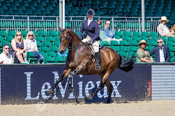 Royal Windsor Horse Show