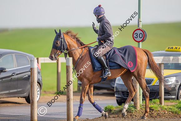 Newmarket