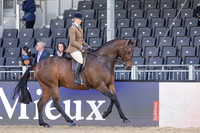 Royal Windsor Horse Show