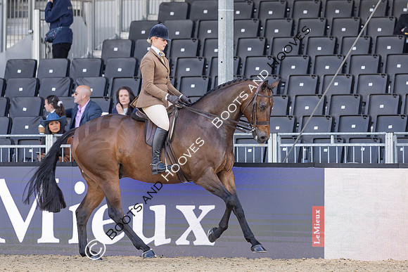 Royal Windsor Horse Show