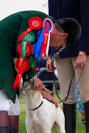 Festival of Hunting