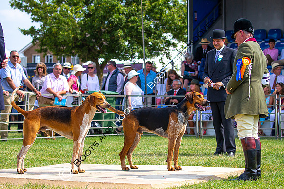Festival of Hunting