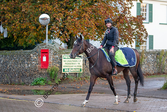 Newmarket