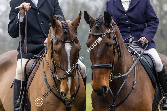 Puckeridge & Essex Hunts