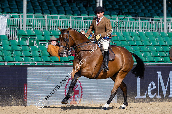 Royal Windsor Horse Show