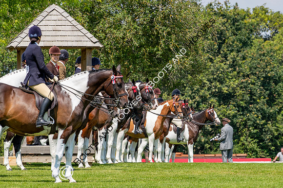 The Prenetics Royal International Horse Show