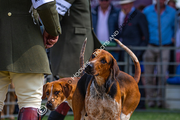 Festival of Hunting