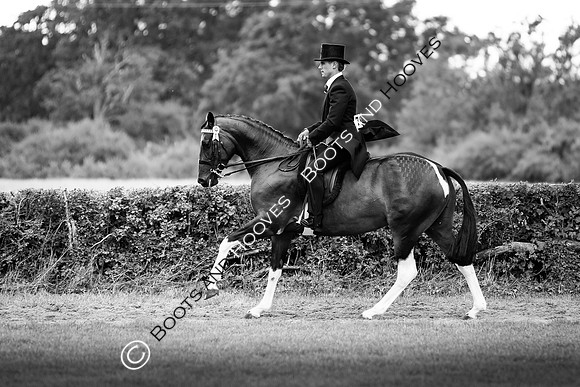 The Royal International Horse Show