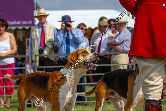 Festival of Hunting
