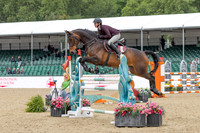 Royal Windsor Horse Show