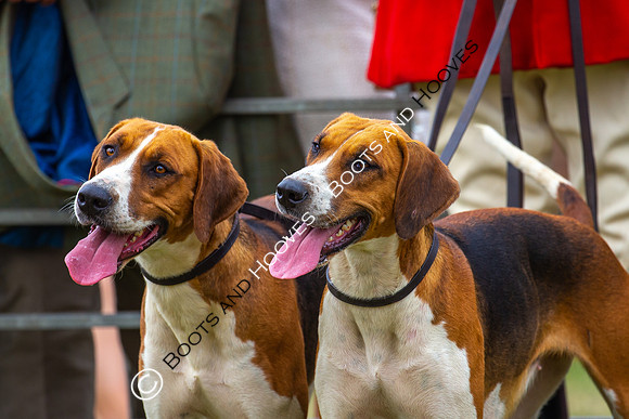 Festival of Hunting