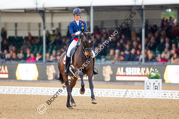 Royal Windsor Horse Show