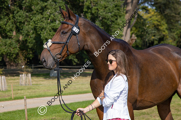 Blenheim Palace International Horse Trials