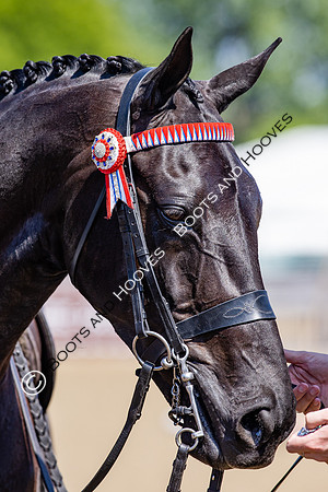 Royal Windsor Horse Show