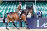 Royal Windsor Horse Show
