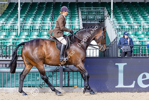 Royal Windsor Horse Show