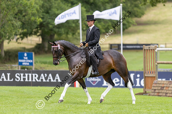 The Royal International Horse Show
