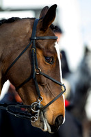 East Essex Hunt. Ladies Day. 29/01/2019 ~ MANDATORY Credit Elli Birch/Bootsandhooves - NO UNAUTHORISED USE - 07745 909676