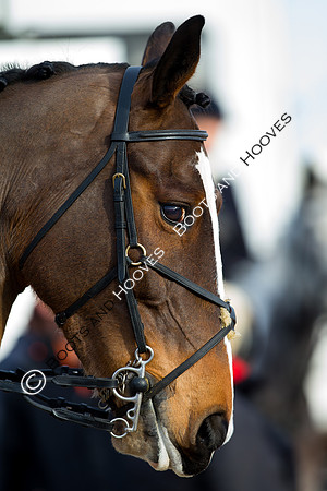 East Essex Hunt. Ladies Day. 29/01/2019 ~ MANDATORY Credit Elli Birch/Bootsandhooves - NO UNAUTHORISED USE - 07745 909676