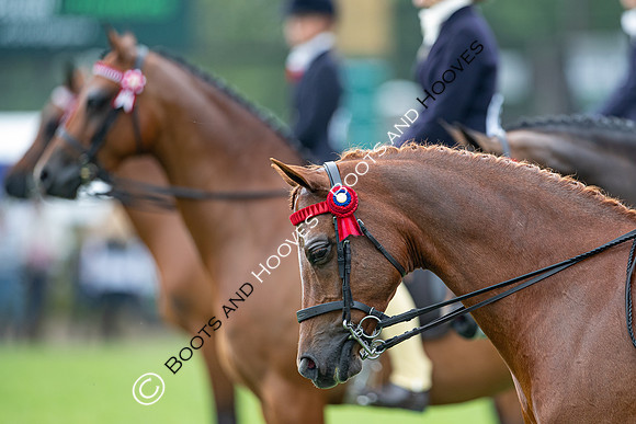 The Prenetics Royal International Horse Show